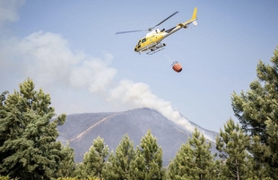 Publicada la declaracin de zona de actuacin urgente para recuperar la superficie afectada por el incendio de Pinofranqueado y Sierra de Gata