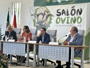 Mercedes Morn exige al Ministerio de Agricultura tomar medidas por la situacin actual y dar un giro a los objetivos de la PAC