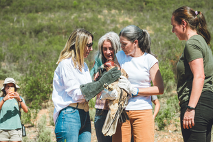 La presidenta y la consejera de Agricultura sueltan tres juveniles de guila imperial ibrica en Monfrage tras ser recuperadas