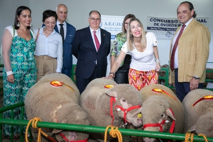 La presidenta anuncia una ayuda a las explotaciones de vacuno afectadas por la Enfermedad Hemorrgica Epizotica