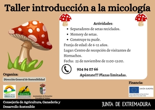La Dirección General de Sostenibilidad organiza con el Ayuntamiento de Hornachos la VII edición del Otoño Senderista Micológico