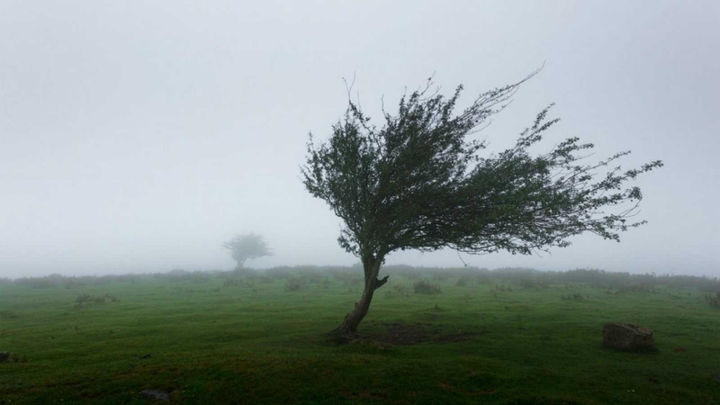 El Centro 112 Extremadura ha gestionado 101 incidentes relacionados con el temporal de lluvias y viento