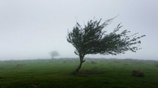 El Centro 112 Extremadura ha gestionado 101 incidentes relacionados con el temporal de lluvias y viento