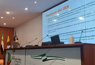 La Junta apela al trabajo conjunto de las administraciones teniendo en cuenta el SOS de los ayuntamientos para repoblar Extremadura
