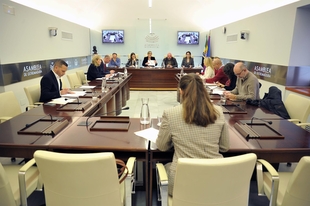 El decreto de medidas fiscales, Almaraz y el encuentro Madrid-Extremadura centran el pleno de este jueves en la Asamblea