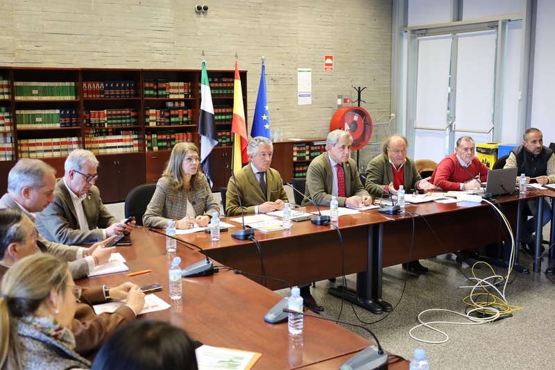 La temporada de caza 2025 arrancará en Extremadura el 1 de abril, en la que se podrá volver a cazar la tórtola europea