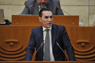 Los partidos extremeños reclaman de forma unánime al Gobierno que aporte fondos para la plena ejecución de la Ley ELA