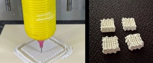 Investigadores de la UEx proponen nuevos materiales impresos en 3D para depurar el agua contaminada
