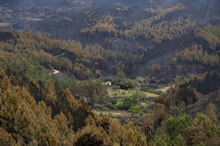 El verano se prevé 'complicado' en incendios en Extremadura, que cuenta con 'mucho combustible fino' en el campo