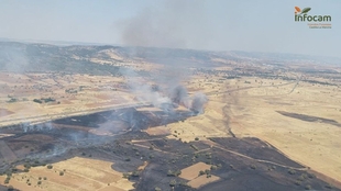 Afectados los trenes entre Mérida y Puertollano tras suspenderse la circulación por un incendio en Brazatortas
