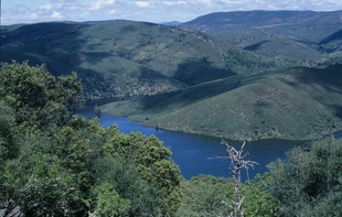 Tragsa ejecutará trabajos de conservación de la biodiversidad en el Parque Nacional de Monfragüe