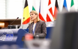 La eurodiputada Elena Nevado reclama que la alta velocidad Madrid-Lisboa sea una realidad en 2030