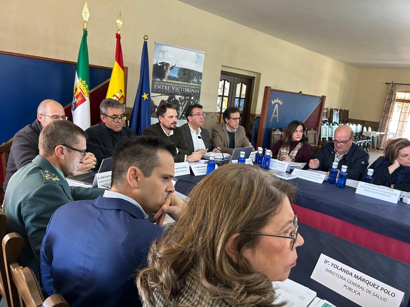 El Consejo Asesor Taurino acuerda constituir un grupo de trabajo para estudiar la reforma normativa del sector