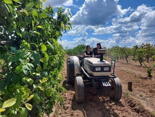 Agricultura abona casi 91 millones de euros de diversos pagos de la PAC a 36.500 agricultores y ganaderos