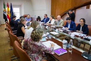 La Junta invertirá 44'8 millones de euros en la ciudad de Mérida durante 2026