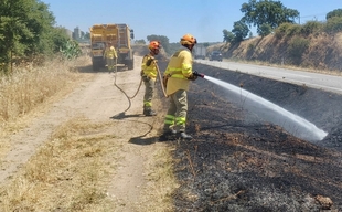 El INFOEX interviene en 32 incendios forestales durante la última semana