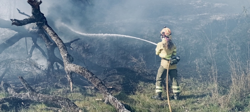 El plan Infoex interviene en 30 incendios forestales durante la última semana